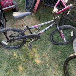 20” Bike