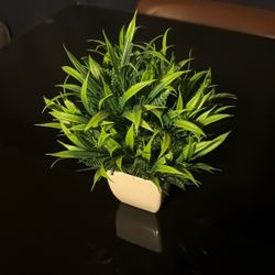 Artificial Plant