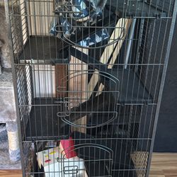 Rat Cage 