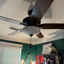Ceiling Fan and Light 
