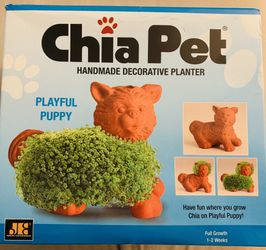 Rare/retired chia pet playful pup