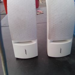 Bose Indoor/Outdoor Speakers 