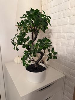 Plastic plant (ikea)