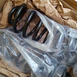 Trailblazer Rear Coil Springs 