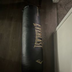 Everlast punching bag with hand wraps