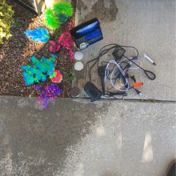 Fresh Water Fish Tank