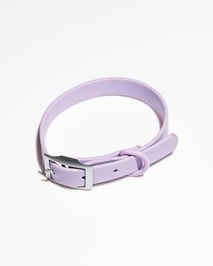 Wild One Dog Collar and Leash Size Large