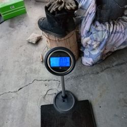 Digital scale