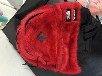 Supreme / North Face Backpack 