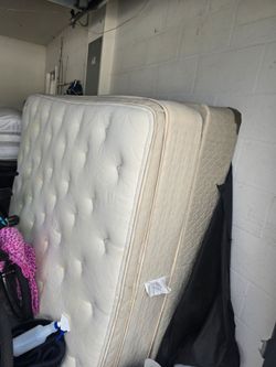 Free Bed/Mattress