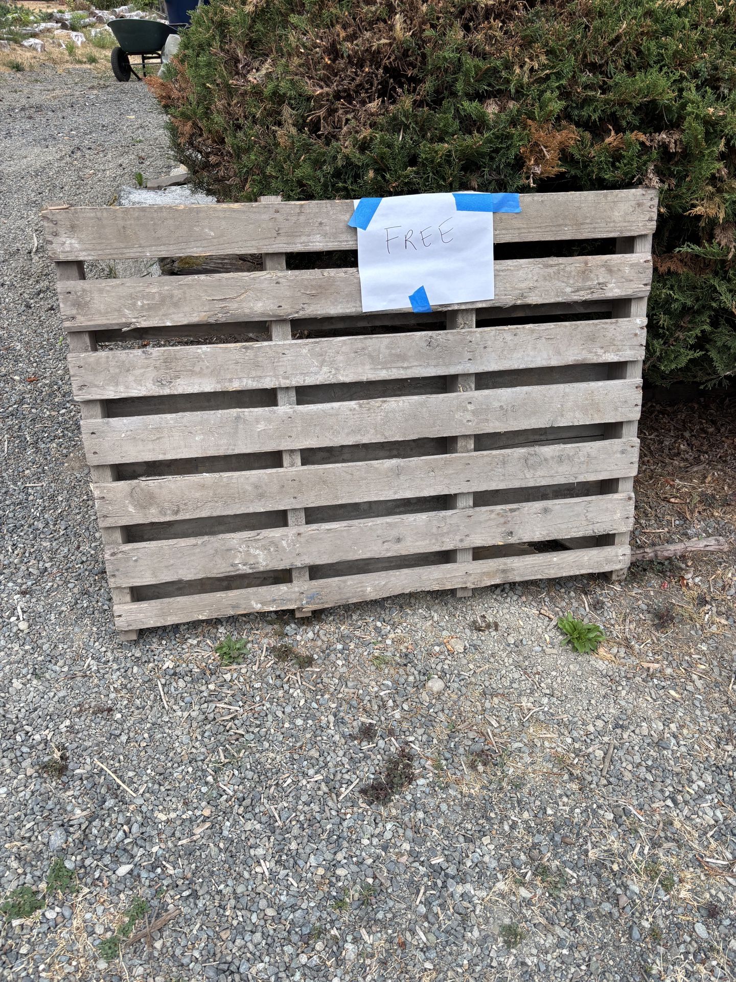 Pallet 