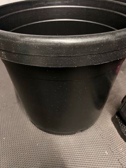 20 gallon Pot