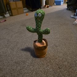Dancing Cactus