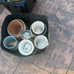 Flower Pots 