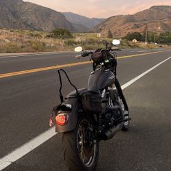 Harley Dyna Street Bob