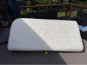 Free Twin Mattress