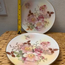 SET DE PLATOS ANTIGUO DE PORCELANA FILETEADA C/U