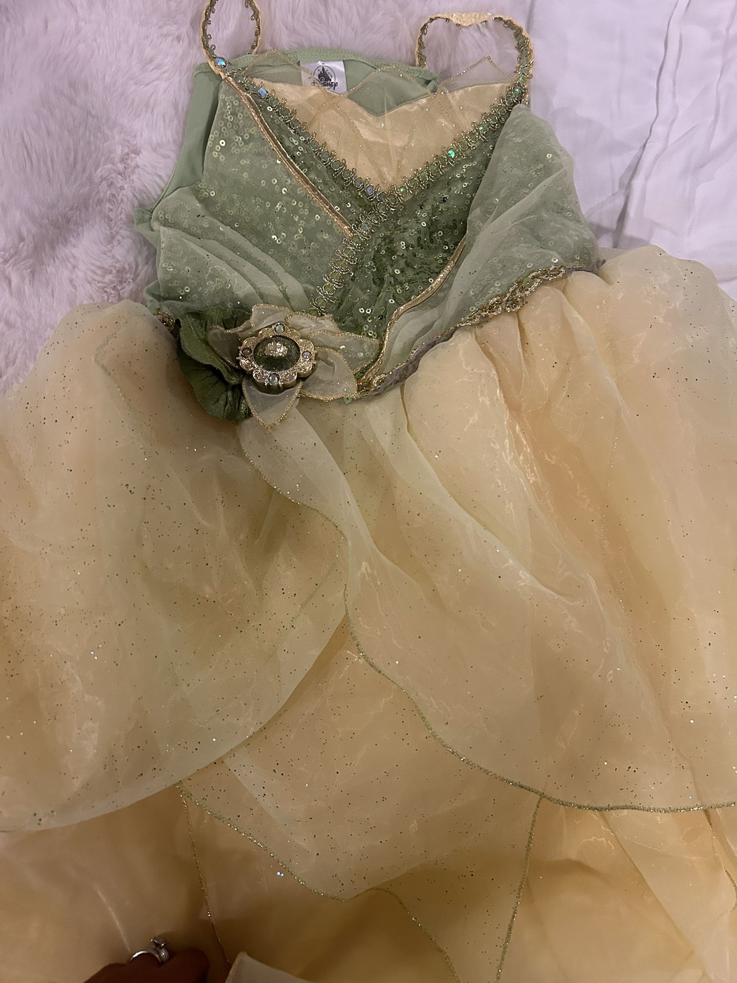 Disney Princess In The Frog Costume