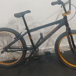 Local Flyer 24in Bmx