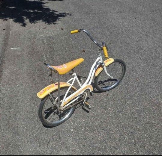 1970s Cactus Flower Huffy Bike Excellent Shape
