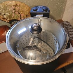 Electric Fryer 