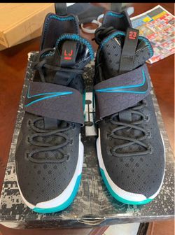 LeBron sneakers