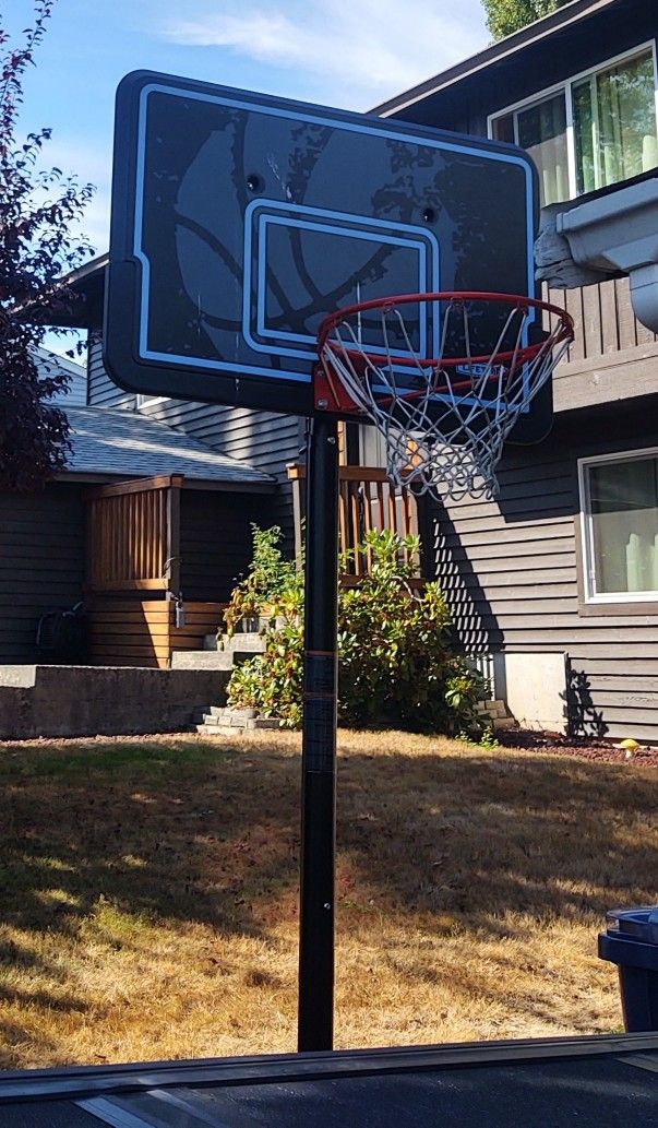 Lifetime Pro Court Basketball Hoop