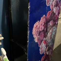 Two 55galon Fish Tanks 