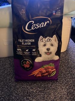 Cesar Filet Mignon Flavor Dry Dog Food