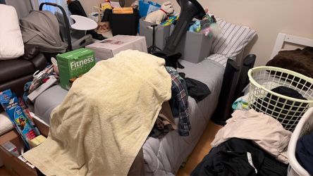 Free twin bed used 2-3 times