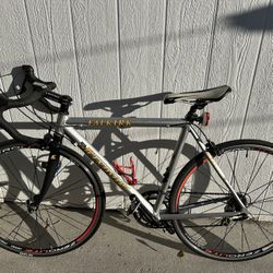 Windsor Falkirk Road Bike