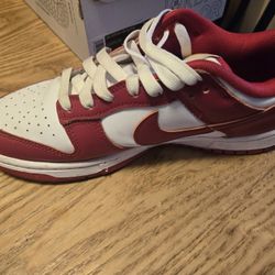 Nike Red Dunks 8
