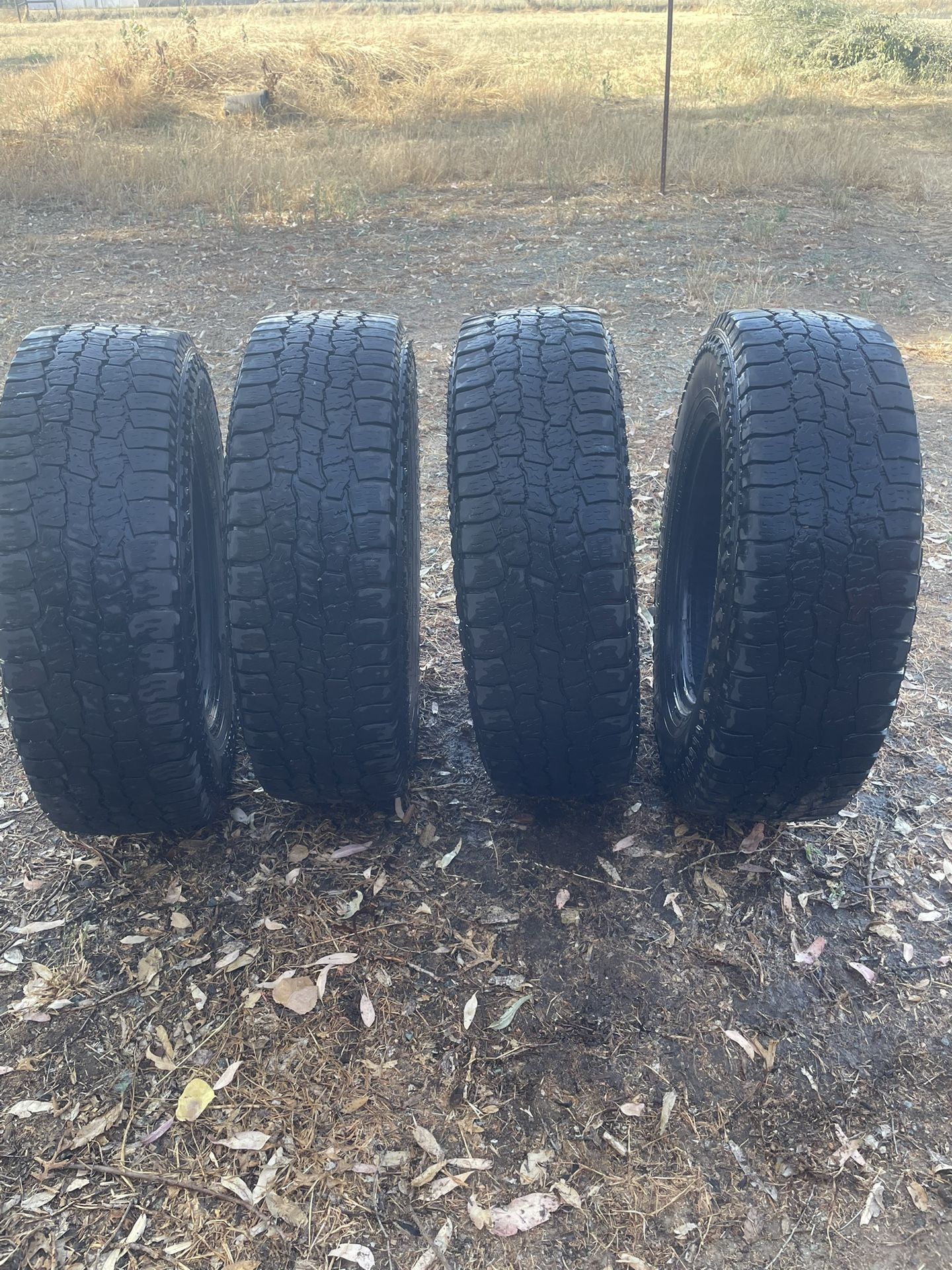 4 Open Range All Terrain
