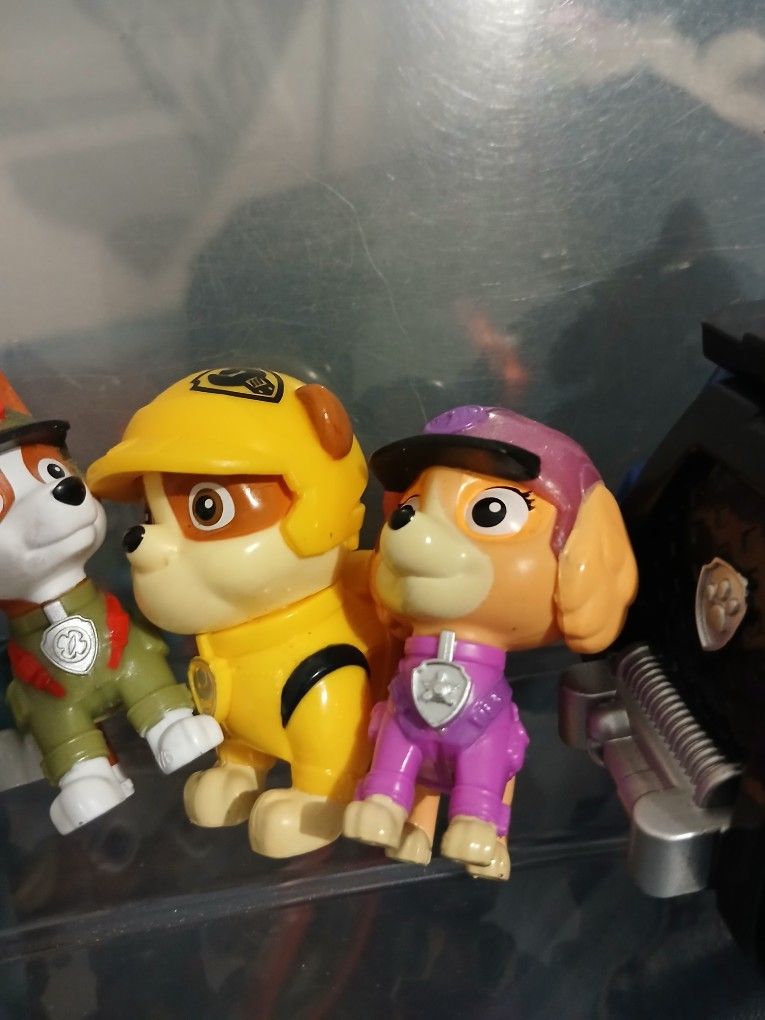 Paw Patrol