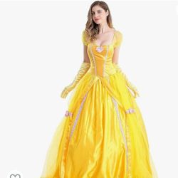 Princess Beauty 's  and  Classic Cinderella Costume

