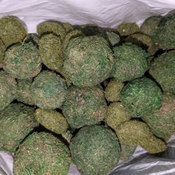 DIY Craft Decor Moss and More