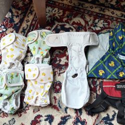 5 (XS) Washable Dog Diapers, Service Dog Vest, And Raincoat