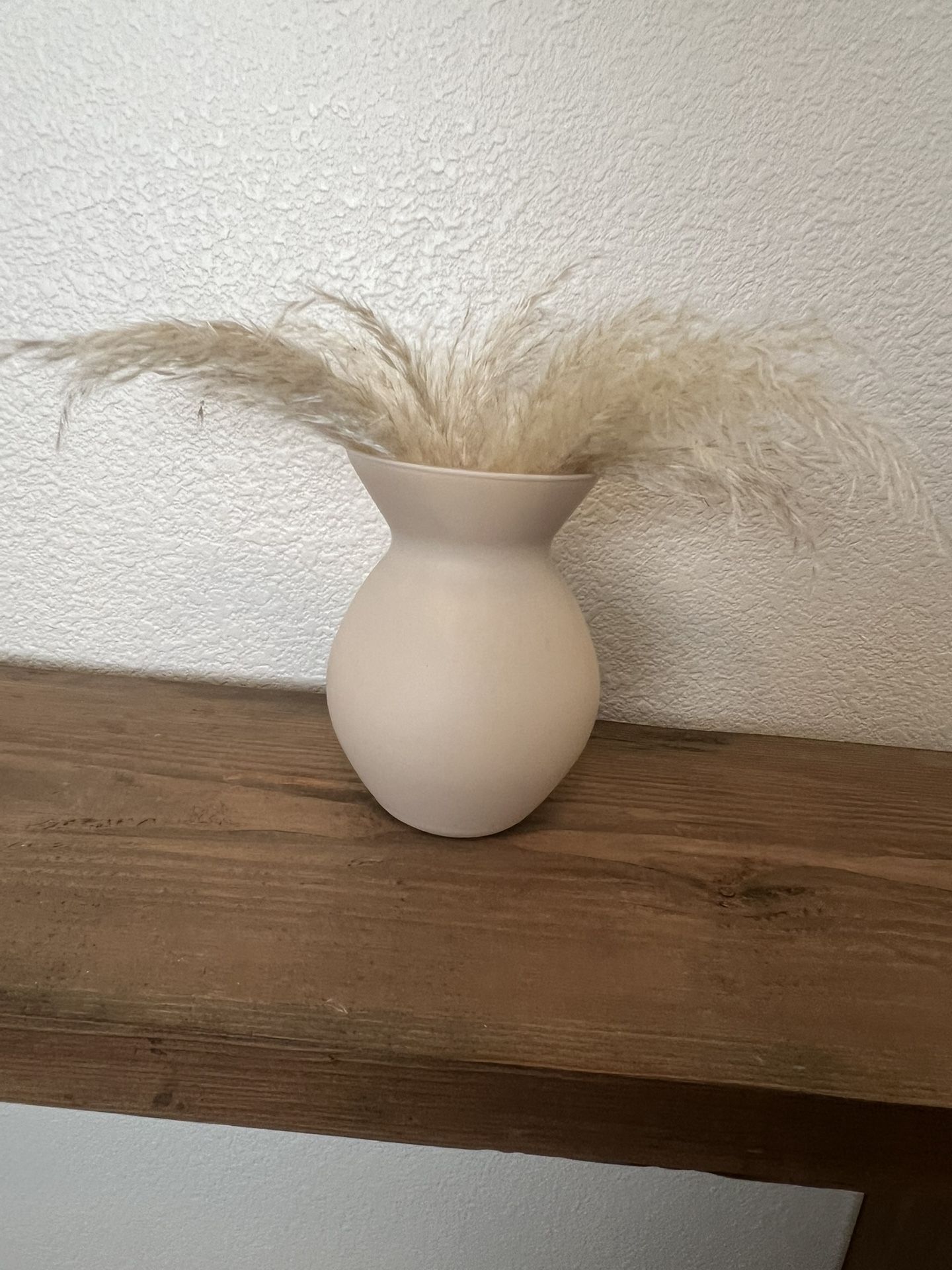 Pampas & Frosted Glass Vase 6.5” Tall