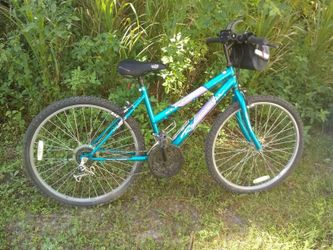 24 inch Mt. Fury girls bicycle
