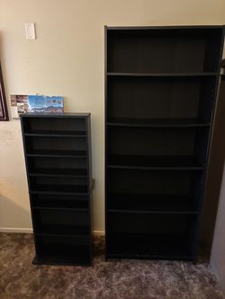 Bookcase and cd shelf