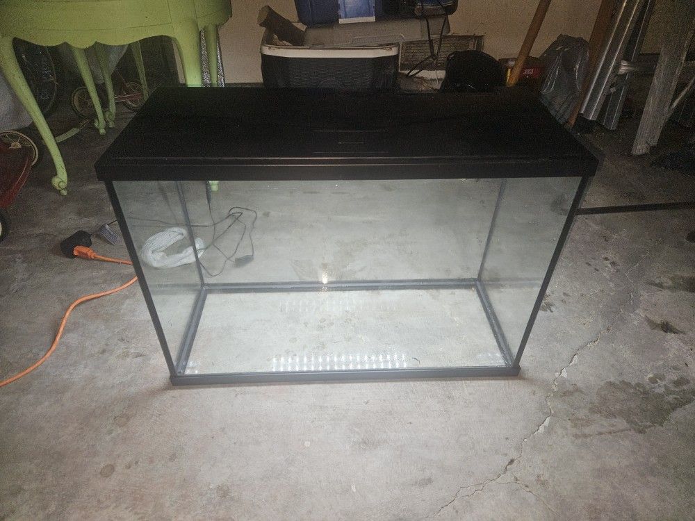 Fish Tank