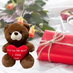You’re The Best I Ever Had / Gift For Her / Girl Friend , Boy Friend Gift / Mothers Days Teddy Bear 