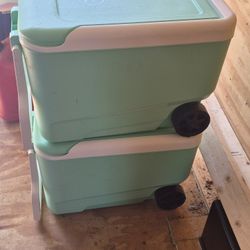 Igloo Coolers