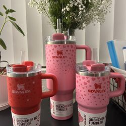 🩷 Stanley Cup Valentines Flowstate Quencher Tumbler | Multiple Sizes & Colors❤️