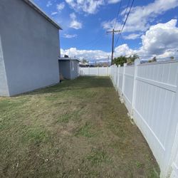 Yard Clean Up 