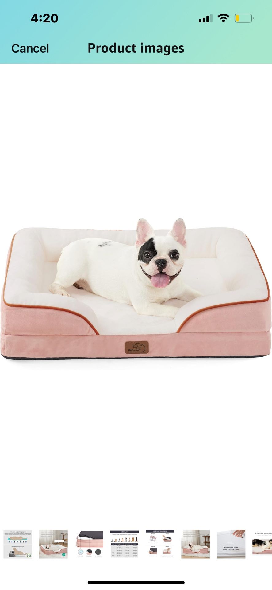 Pet Bed