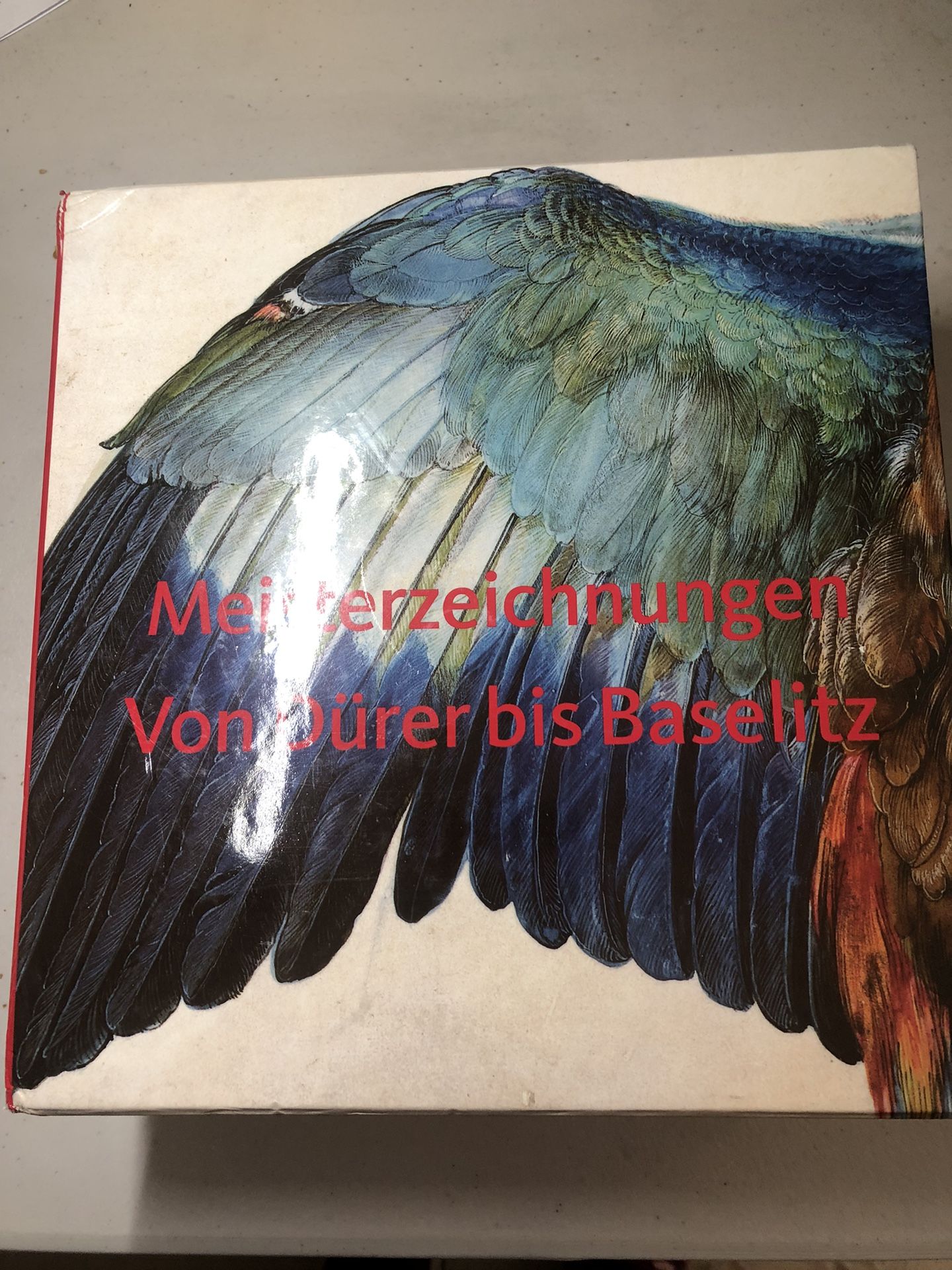 Meisterzeichnungen Von Durer Bis Baselitz ALBERTINA