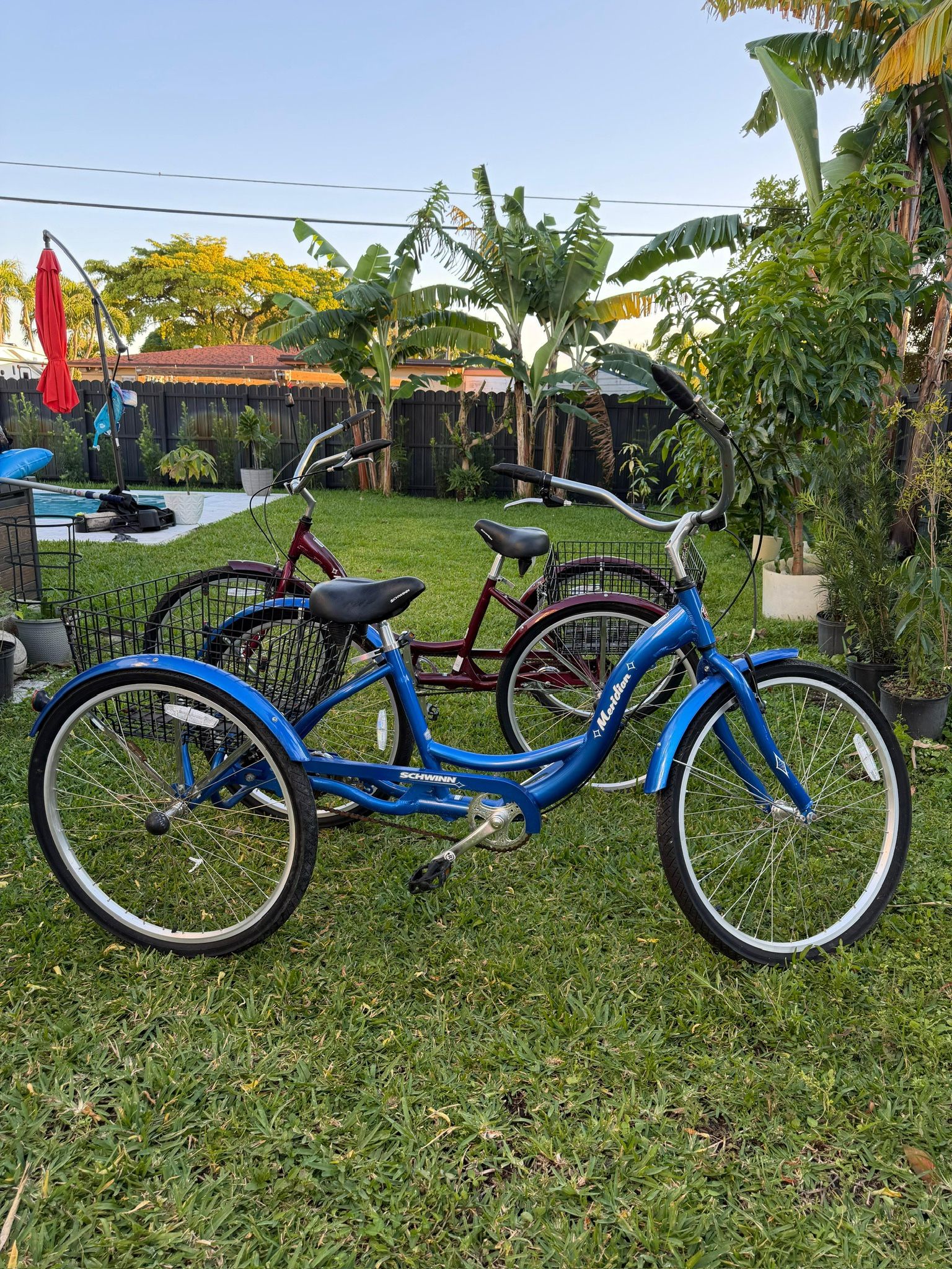 Tricycle Bike