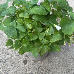 15$