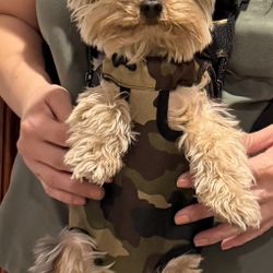 Small Dog Carrier